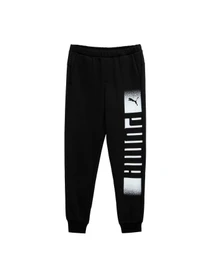 Брюки PUMA Sweatpants Fl модель 589616 Фото