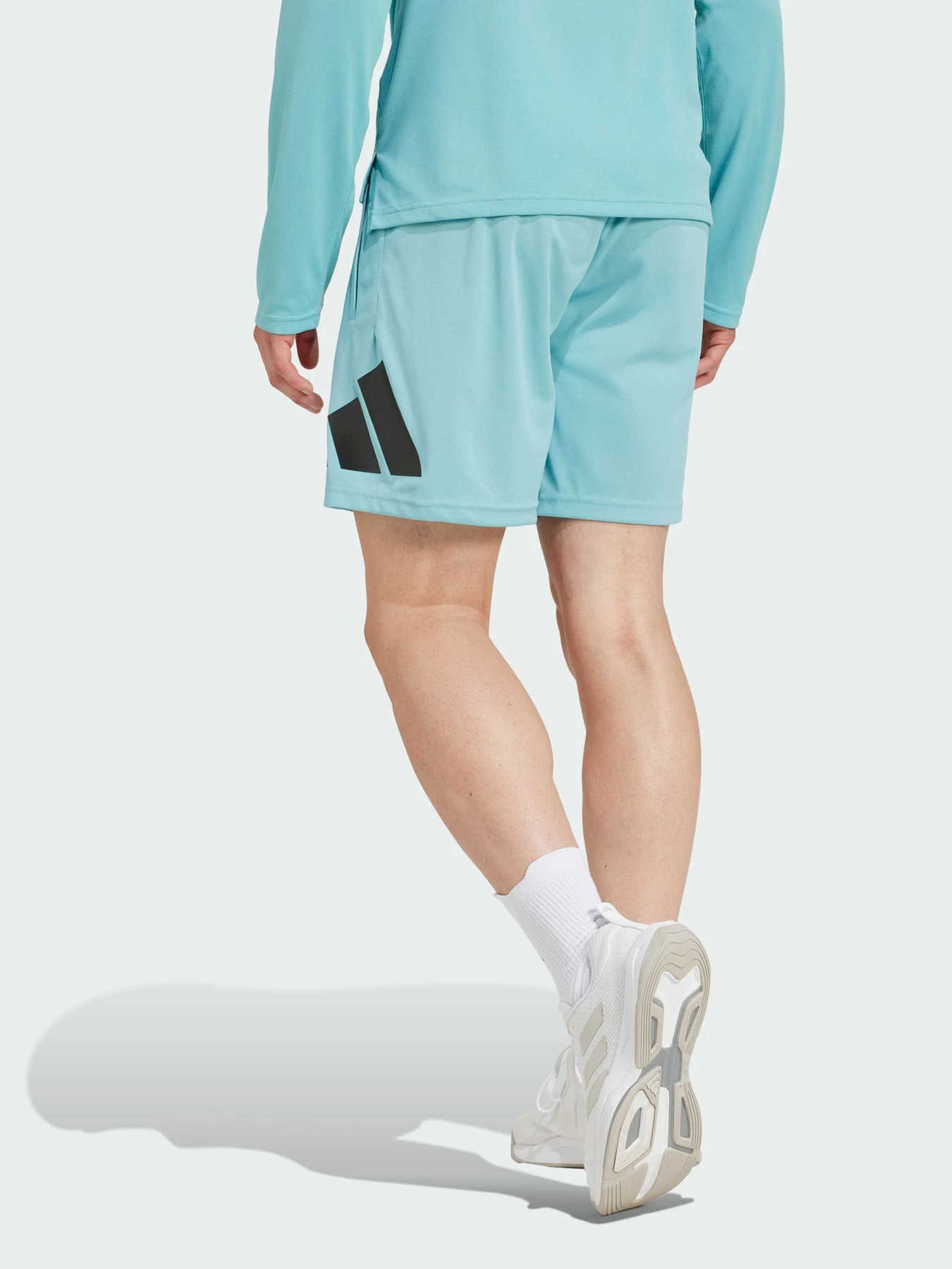Шорты Adidas модель IW3409 Фото
