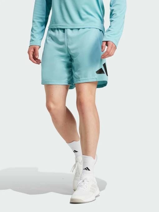 Шорты Adidas модель IW3409 Фото