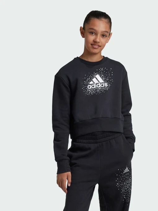 Худи и свитшоты Adidas модель IV9418 Фото
