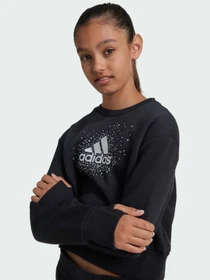 Худі та світшоти Adidas модель IV9418 Фото