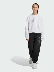 Брюки Adidas модель IV9430 Фото