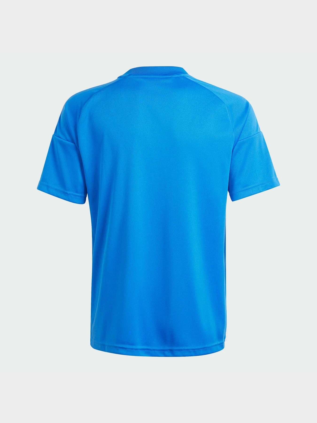 Футболки и поло Adidas модель IQ0498 Футболки и поло Adidas модель IQ0498 Фото
