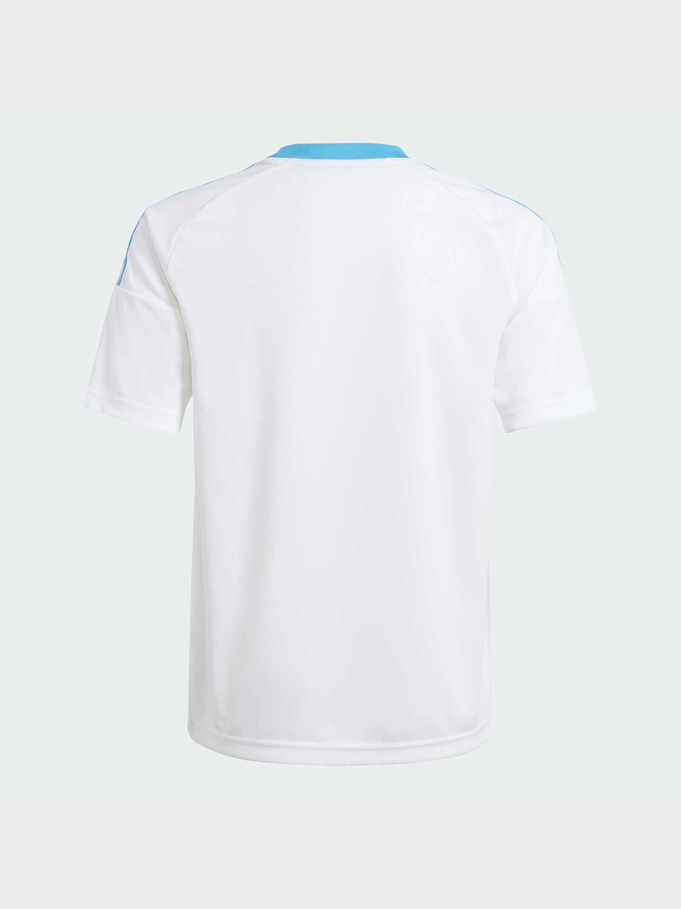 Футболки и поло Adidas модель IP8397 Футболки и поло Adidas модель IP8397 Фото