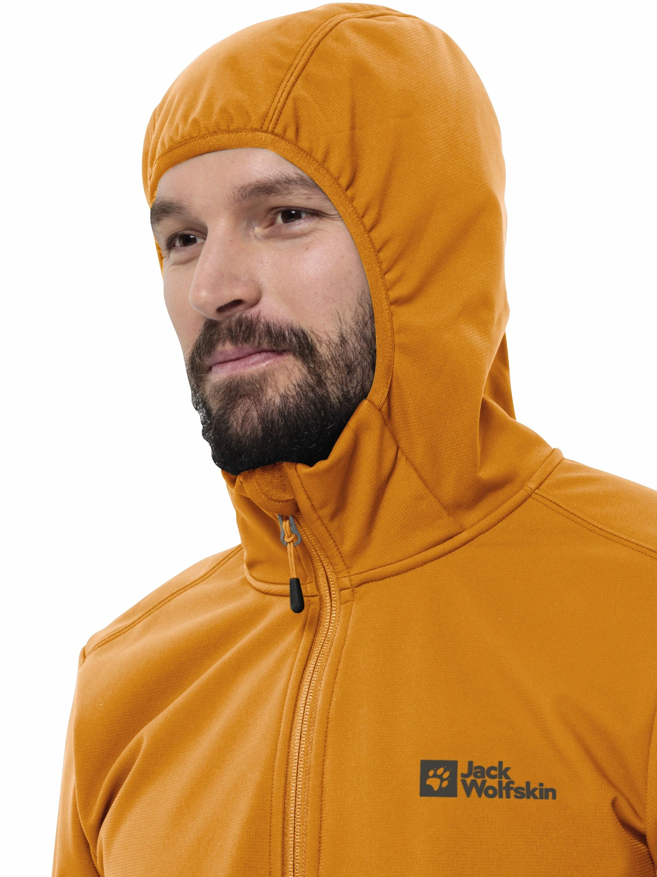 Худи и свитшоты Jack Wolfskin Bornberg модель 1307471_M0043 Фото