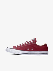 Кеды CONVERSE модель M9691C.612 Фото