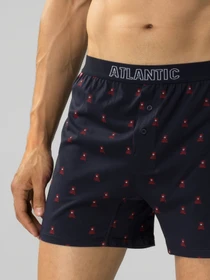Нижнее белье Atlantic модель 2GMB-007 Фото