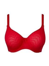 Нижнее белье Fantasie Echo Lace модель 2941 Фото