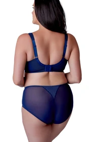 Нижня білизна BERLEI Beauty Stripe Minimiser модель 543 Фото