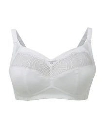 Нижнее белье BERLEI Heaven Embroidery модель 5077 Фото