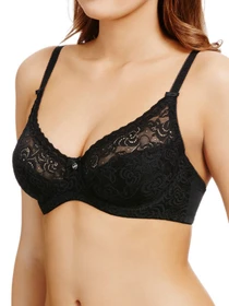 Нижнее белье BERLEI Heaven Lace модель 5041 Фото