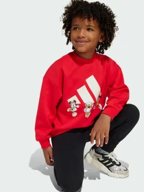Худи и свитшоты Adidas x Disney модель JF3640 Фото