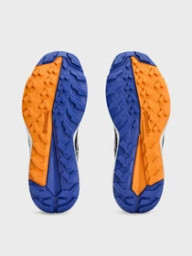 Кроссовки Adidas Terrex модель IF1791 Фото