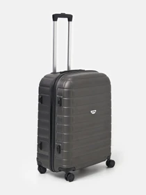 Дорожні сумки та валізи Ricco Grande модель T15003grey-L Фото