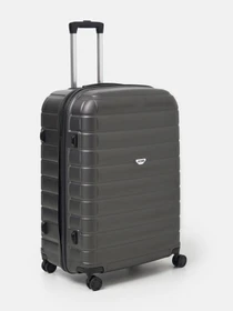 Дорожные сумки и чемоданы Ricco Grande модель T15003grey-XL Фото