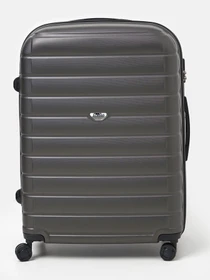 Дорожные сумки и чемоданы Ricco Grande модель T15003grey-XL Фото