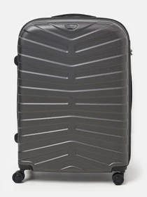 Дорожные сумки и чемоданы Ricco Grande модель T15002grey-XL Фото
