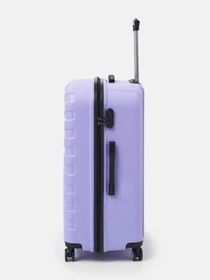 Дорожные сумки и чемоданы Ricco Grande модель T15002lilac-XL Фото