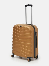 Дорожні сумки та валізи Ricco Grande модель T15002Gold-L Фото