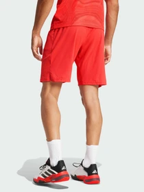 Шорты Adidas модель JN1341 Фото