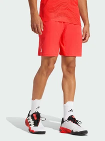 Шорты Adidas модель JN1341 Фото