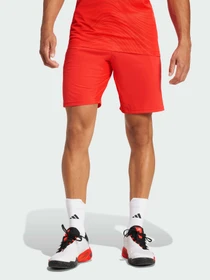Шорты Adidas модель JN1341 Фото
