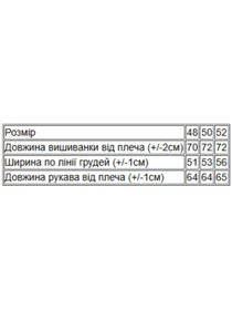 Вышиванки Носи своє модель 8605-015-22-2-blakitnij Фото