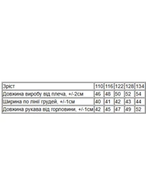 Худі та світшоти Носи своє модель 6394-025-4-chornilxno-sinj Фото