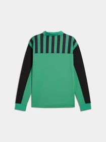 Худи и свитшоты PUMA The Neverworn Iv T7 Jersey модель 628464 Фото