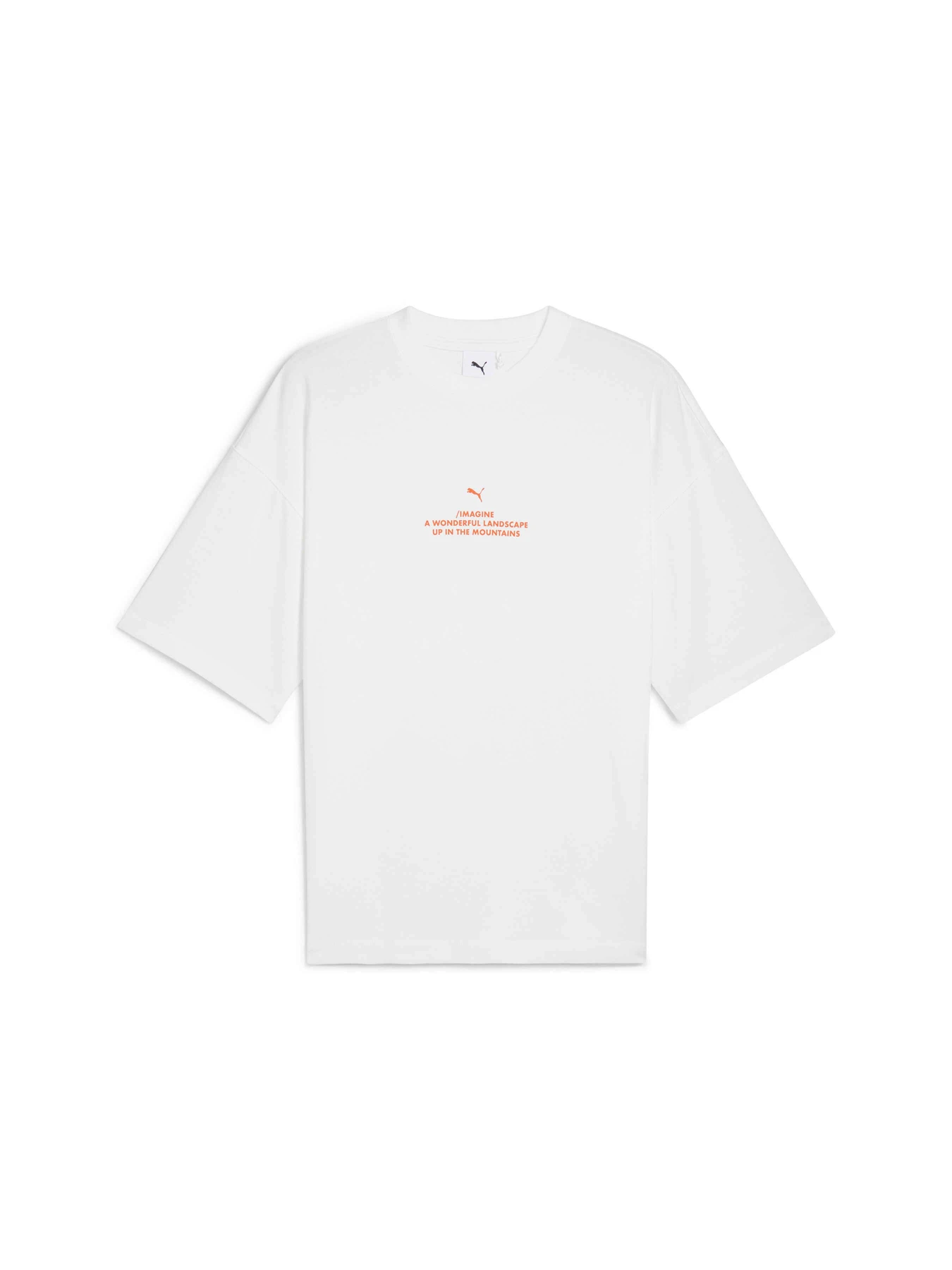 Футболки и поло PUMA Untergrund Oversized Tee модель 626663 Фото