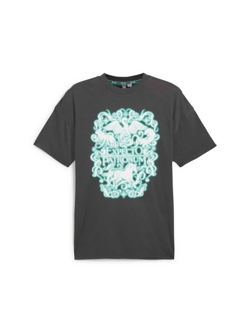 Футболки и поло PUMA Harry Potter Tee I модель 627807 Фото