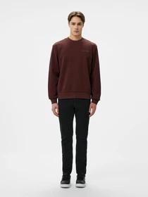 Худи и свитшоты Lacoste модель SH2858BZD Фото