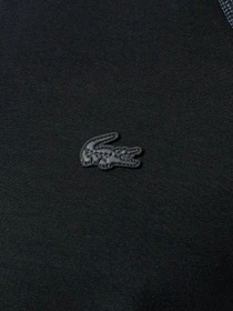 Худи и свитшоты Lacoste модель SH2521031 Фото