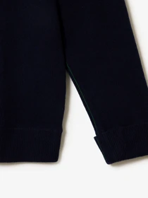 Светри та кардигани Lacoste модель AF9545166 Фото