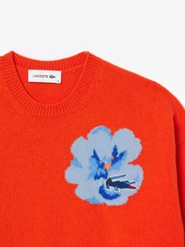 Светри та кардигани Lacoste модель AF5189P40 Фото