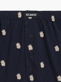 Нижнее белье Atlantic модель 2MBH-003 Фото