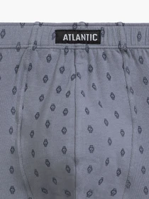 Нижнее белье Atlantic модель 3MH-195 Фото