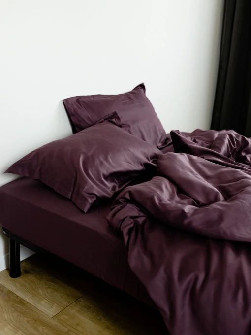 Підковдра класична слива Cozy модель 8009048 Фото