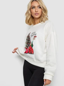 Худи и свитшоты Ager модель У-1133156::000000060 Фото
