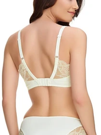 Нижнее белье Fantasie Rebecca Lace модель 9421IVY Фото