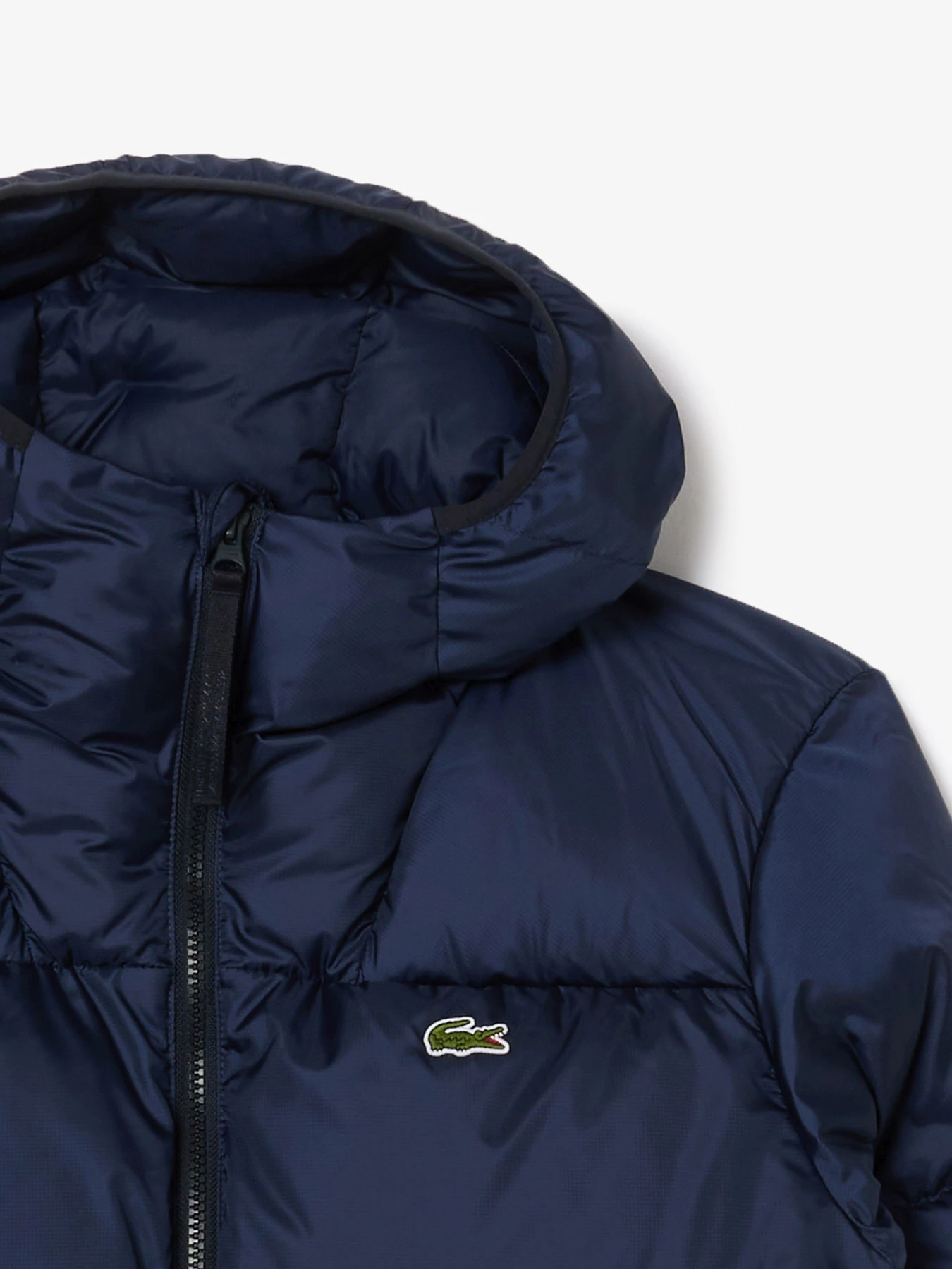 Куртки та дублянки Lacoste модель BH2905166 Фото