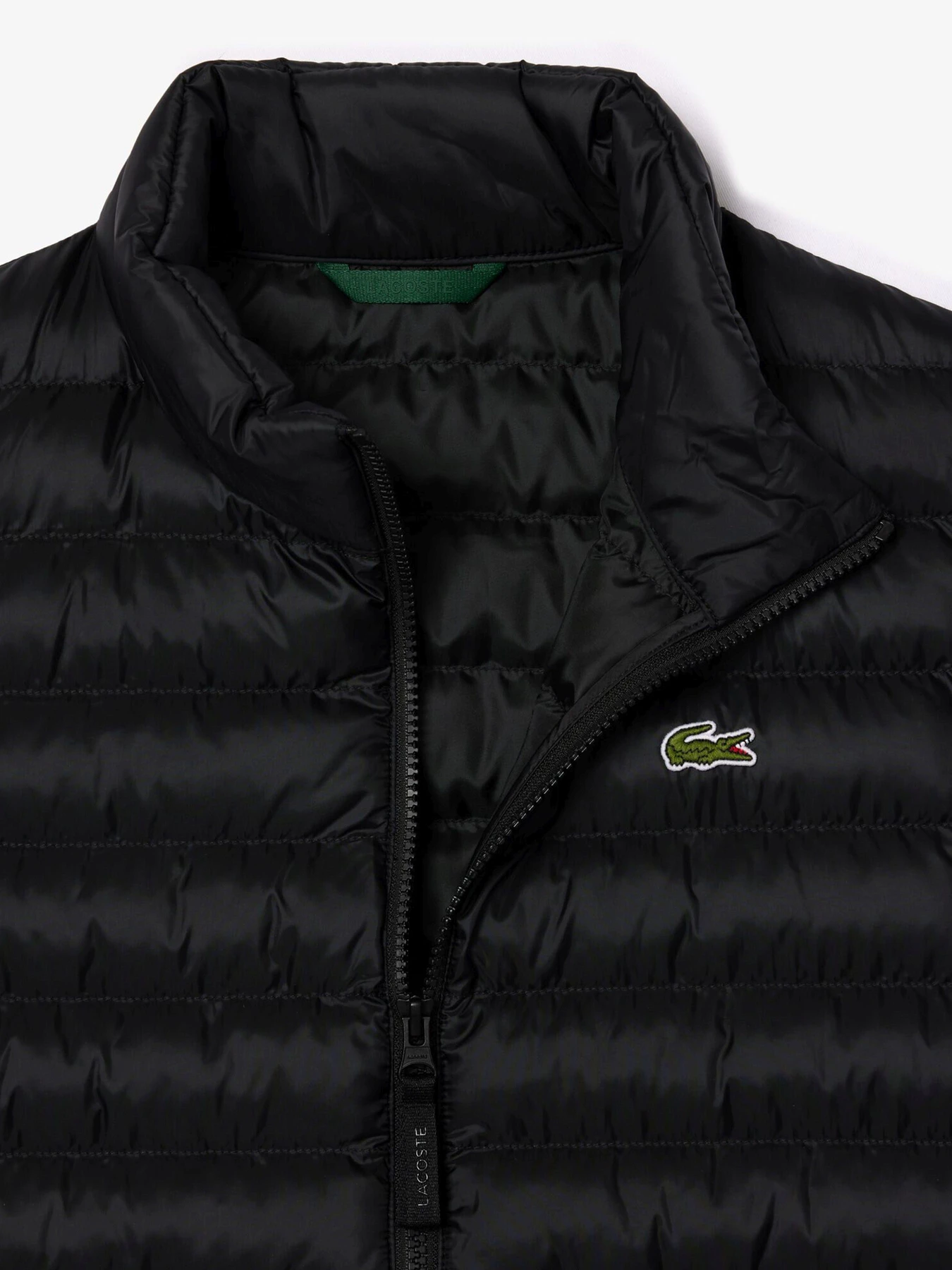 Куртки та дублянки Lacoste модель BH2886031 Фото