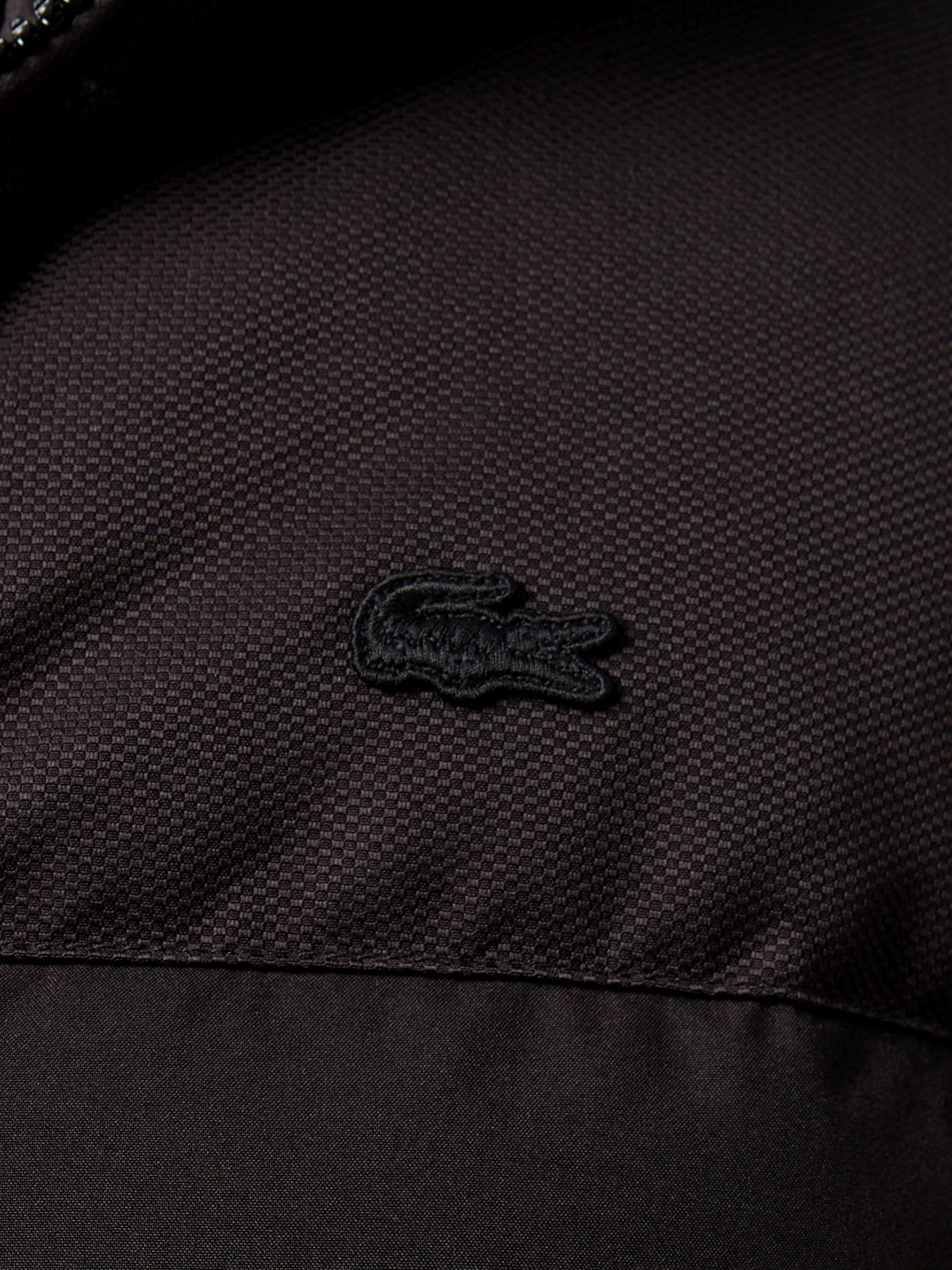 Куртки та дублянки Lacoste модель BH2526031 Фото