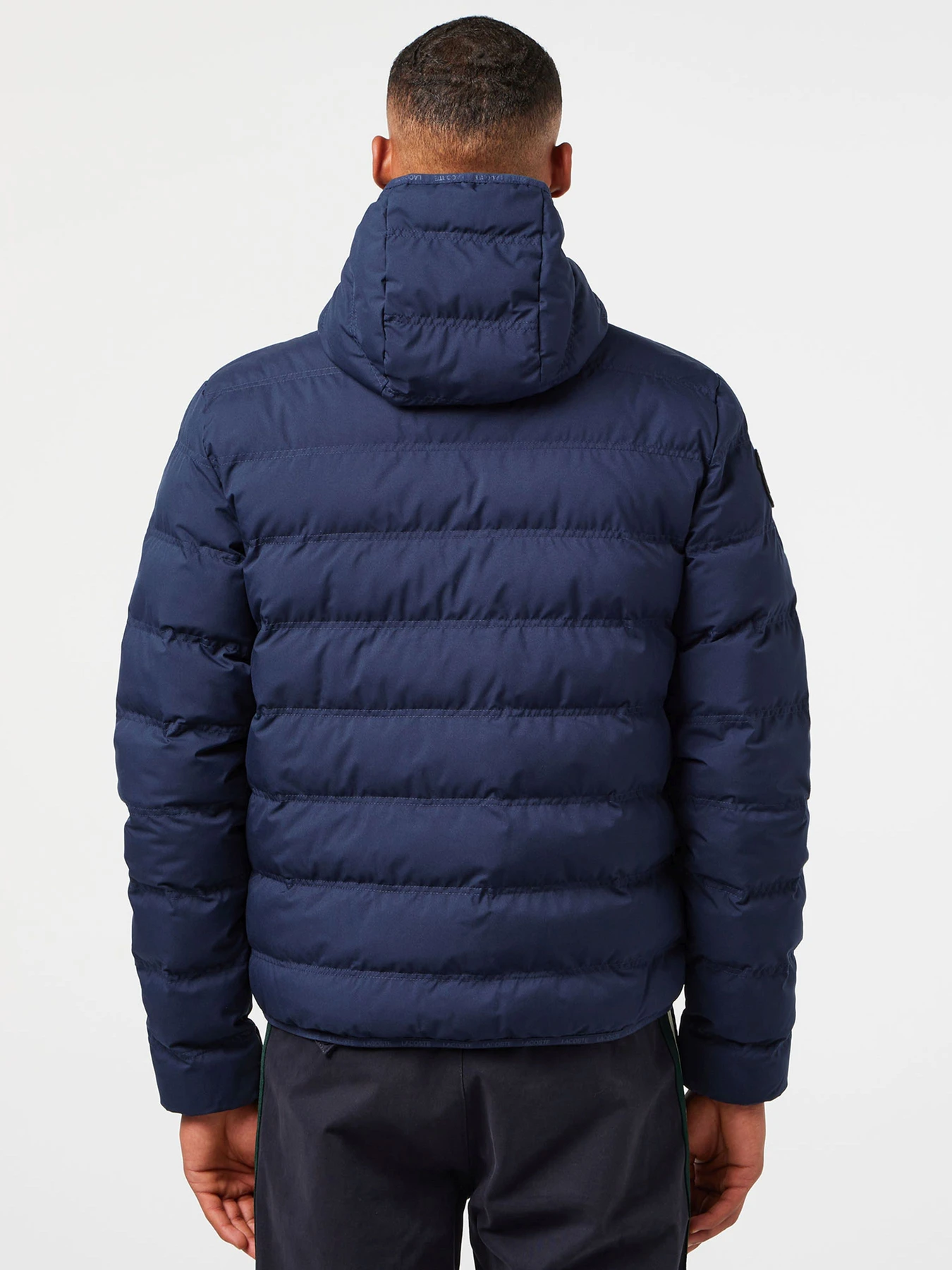 Куртки та дублянки Lacoste модель BH227777L Фото