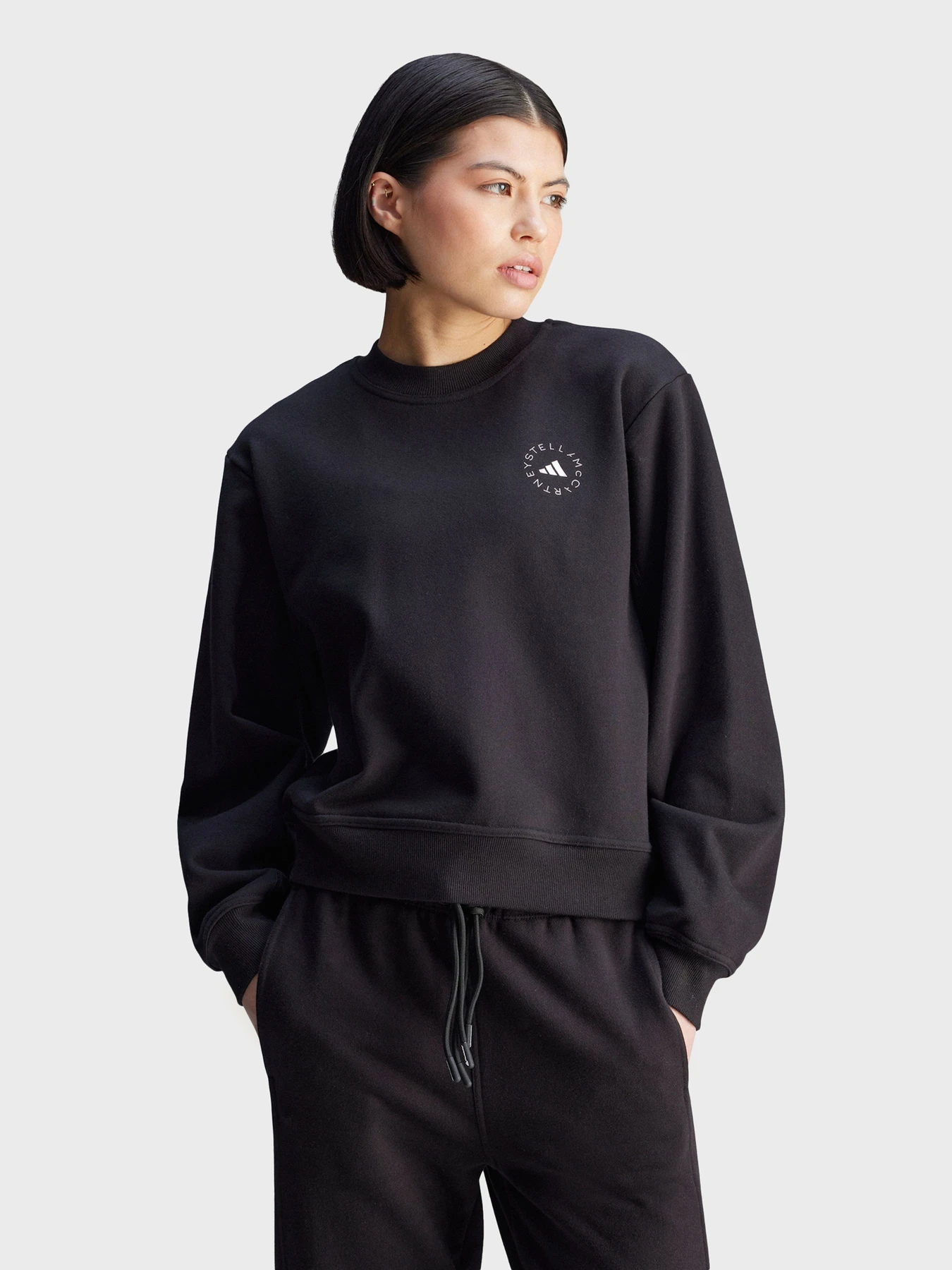 Худі та світшоти Adidas Культові силуети модель JJ0150 Фото