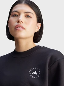 Худі та світшоти Adidas Культові силуети модель JJ0150 Фото