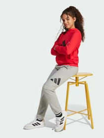 Брюки Adidas модель JD2092 Фото