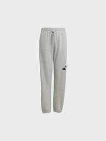 Брюки Adidas модель JD2092 Фото