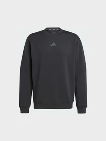 Худи и свитшоты Adidas модель JJ4642 Фото