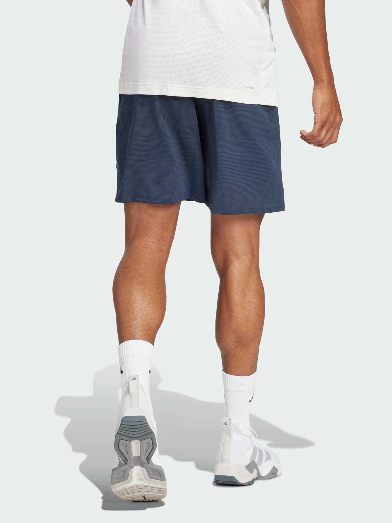 Шорты Adidas модель JN1991 Фото